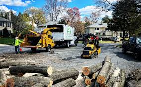 Landscape Design and Installation in Little Chute, WI