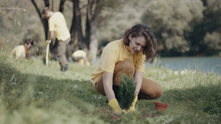Best Lawn Disease Treatment  in Little Chute, WI