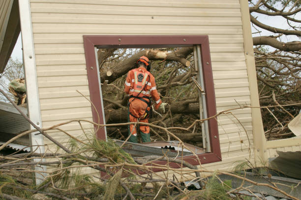 Best Stump Grinding and Removal  in Little Chute, WI