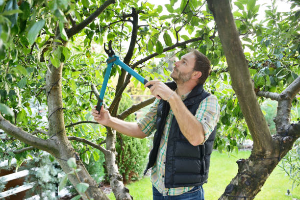 Best Lawn Irrigation Installation and Maintenance  in Little Chute, WI